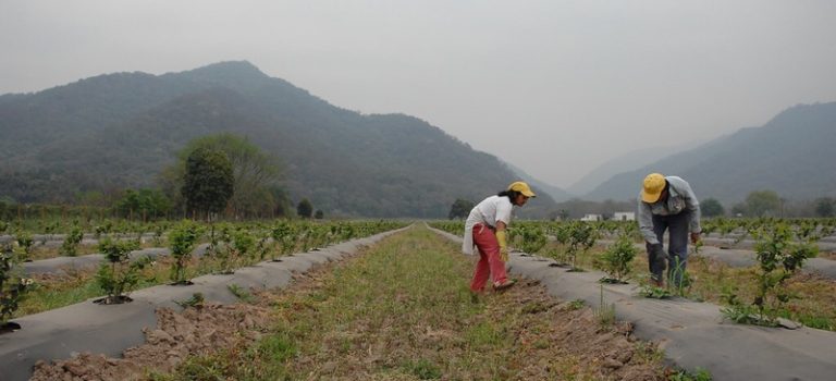 Every Morsel, Every Drop